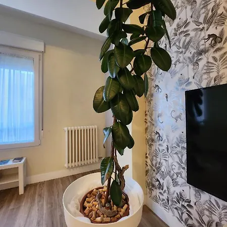 Casa Damajuana Edificio Rehabilitado Sin Ascensor *