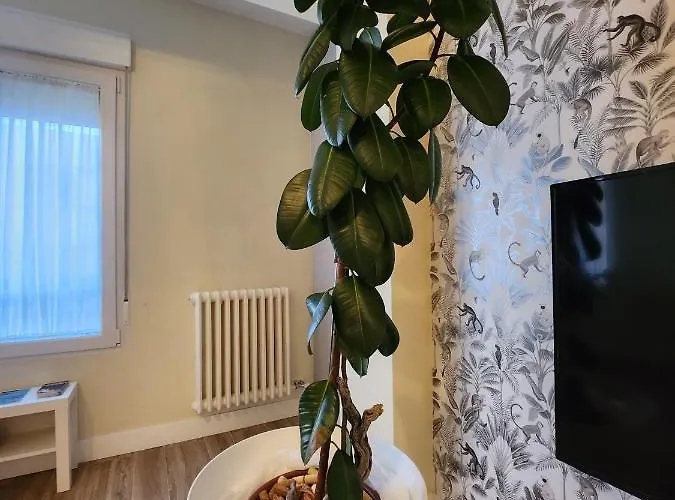 Casa Damajuana Edificio Rehabilitado Sin Ascensor *